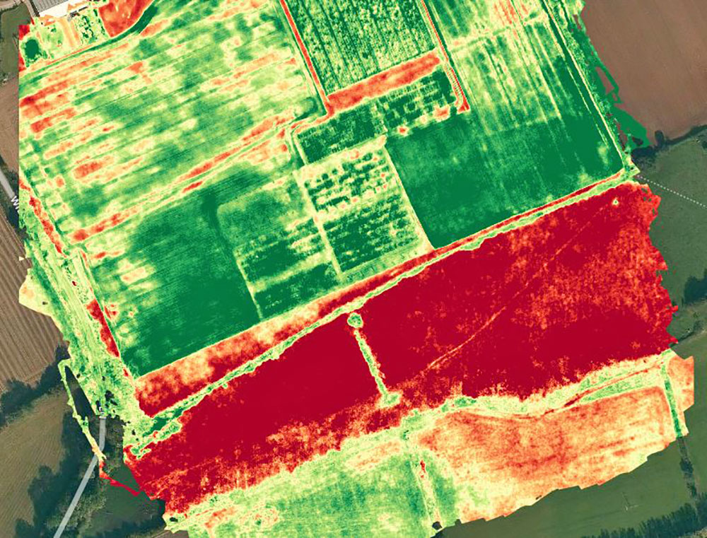 A screen grab of the first vegetation map